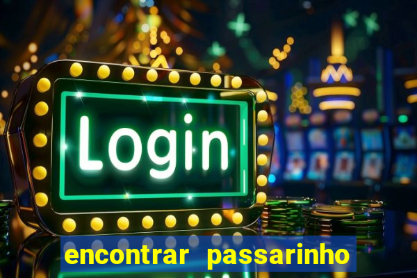 encontrar passarinho morto significado